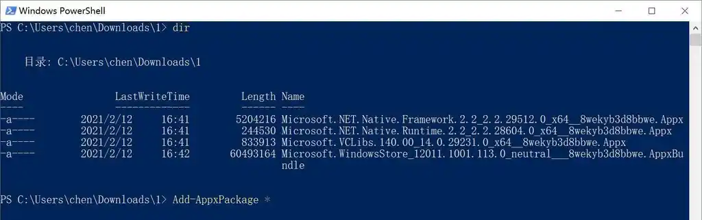 Win10 企业版 LTSC 安装 Microsoft Store 应用商店（简易版）