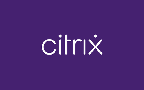 将 VMware ESXi 服务器的虚拟机迁移到 Citrix 服务器上
