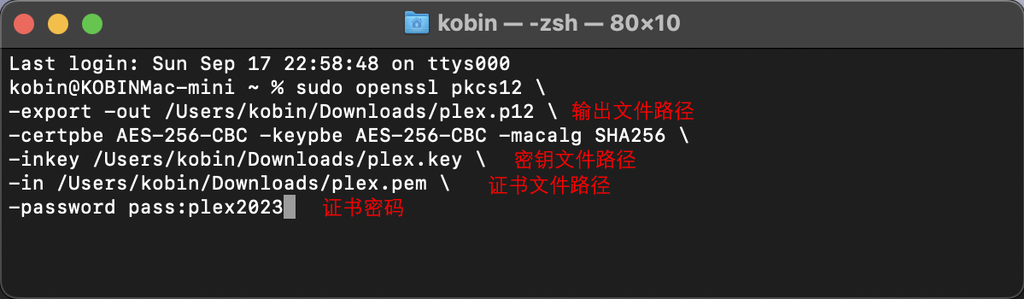 Plex Media Server 更换自定义 SSL 证书