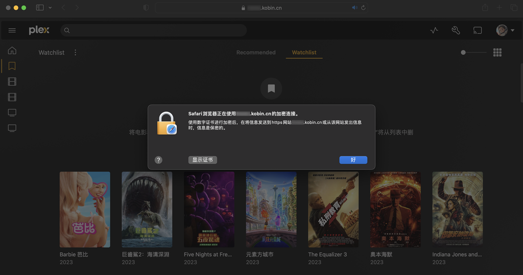 Plex Media Server 更换自定义 SSL 证书