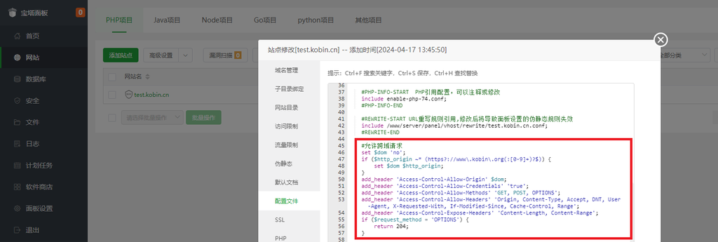宝塔面板处理 CORS 跨域请求问题